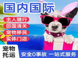 烟台蓬莱航空运输国际宠物托运 【国